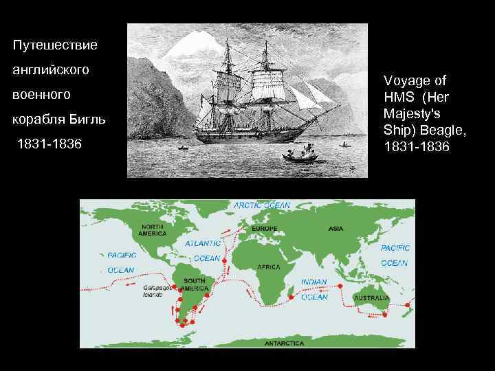 Путешествие английского военного корабля Бигль 1831 -1836 Voyage of HMS (Her Majesty's Ship) Beagle,