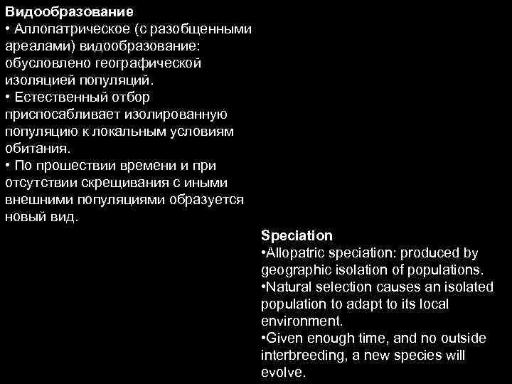 Видообразование • Аллопатрическое (с разобщенными ареалами) видообразование: обусловлено географической изоляцией популяций. • Естественный отбор