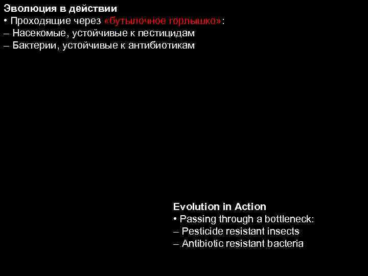 Эволюция в действии • Проходящие через «бутылочное горлышко» : – Насекомые, устойчивые к пестицидам