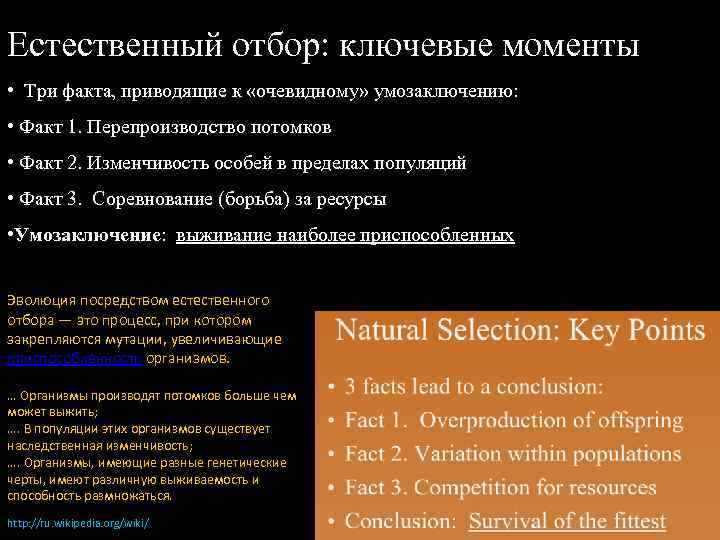 Естественный отбор: ключевые моменты • Три факта, приводящие к «очевидному» умозаключению: • Факт 1.