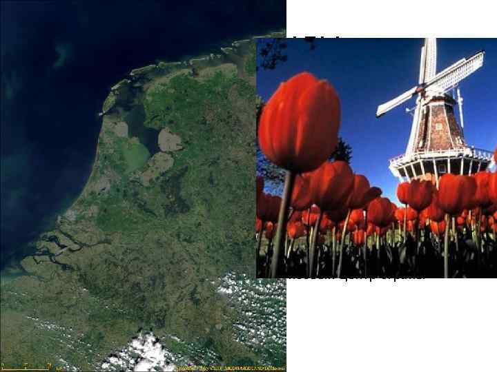    НИДЕРЛАНДЫ • Нидерланды – в переводе - низовые земли. Эта страна