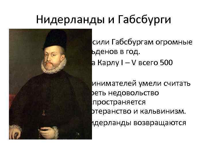  Нидерланды и Габсбурги • Нидерланды приносили Габсбургам огромные  доходы - 2 млн.