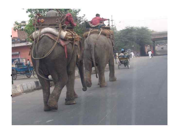  Взаимоотношения каст • Если человек из низшей касты поднял руку  на брахмана,