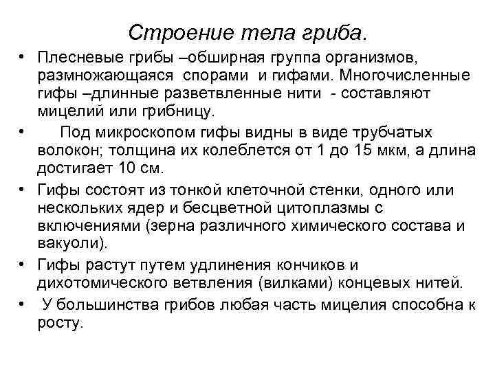    Строение тела гриба.  • Плесневые грибы –обширная группа организмов, 