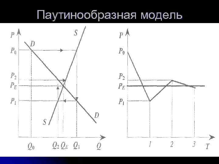 Паутинообразная модель Паутинообразная модель
