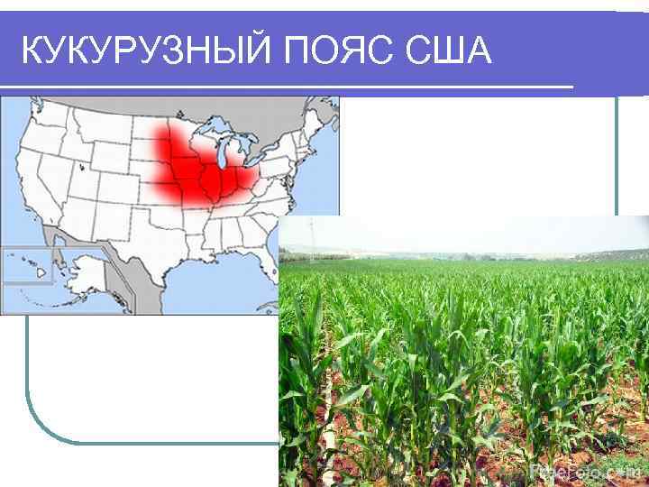 Молочный пояс сша