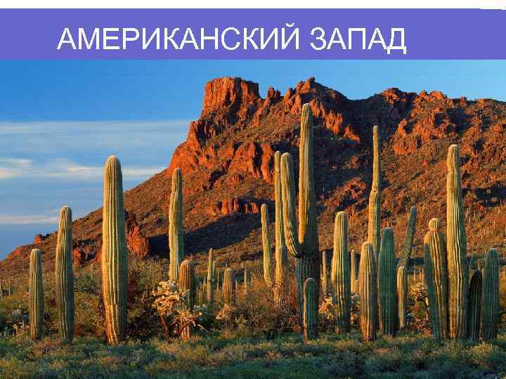 АМЕРИКАНСКИЙ ЗАПАД 