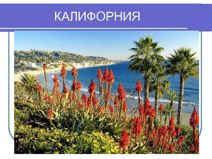 КАЛИФОРНИЯ 