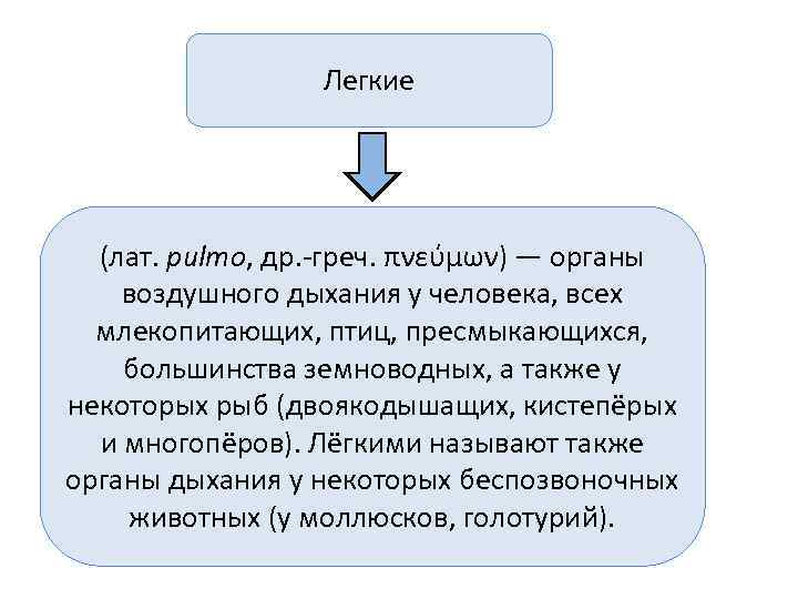    Легкие  (лат. pulmo, др. -греч. πνεύμων) — органы воздушного дыхания
