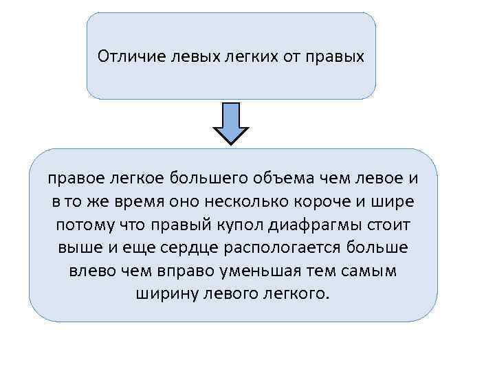  Отличие левых легких от правых правое легкое большего объема чем левое и в