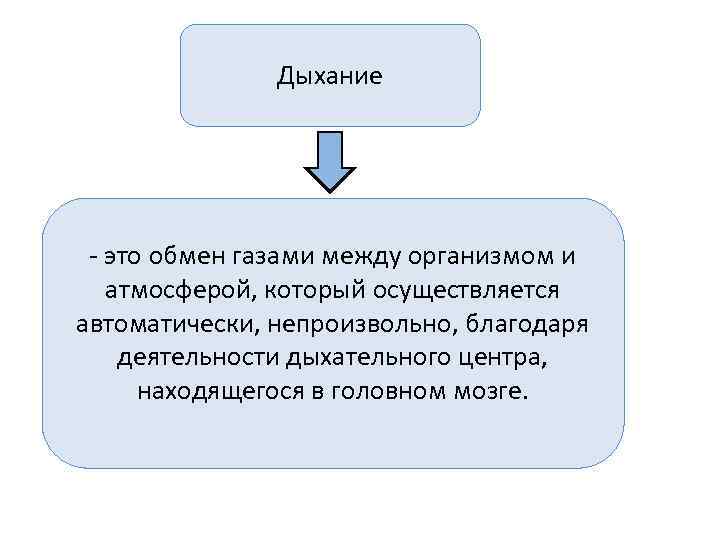     Дыхание - это обмен газами между организмом и атмосферой, который