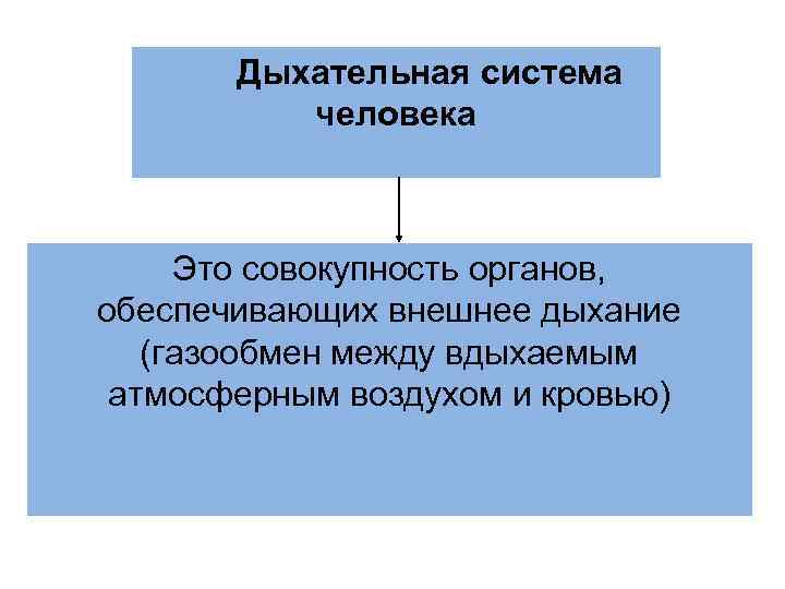 Дыхательная система человека Это совокупность органов, обеспечивающих внешнее дыхание Дыхательная система человека Это совокупность органов, обеспечивающих внешнее дыхание