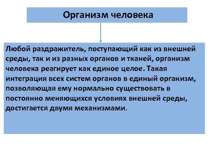 Организм человека Любой раздражитель, поступающий как из внешней среды, так Организм человека Любой раздражитель, поступающий как из внешней среды, так