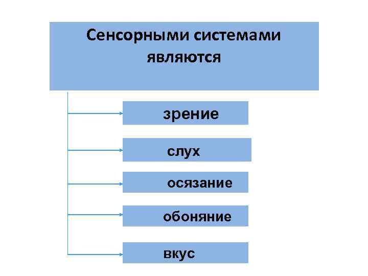 Сенсорными системами являются зрение слух осязание Сенсорными системами являются зрение слух осязание