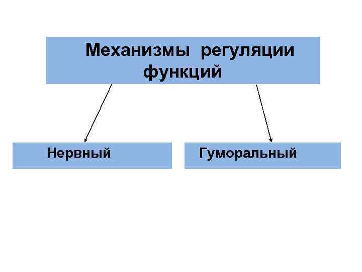 Механизмы регуляции функций Нервный Гуморальный Механизмы регуляции функций Нервный Гуморальный