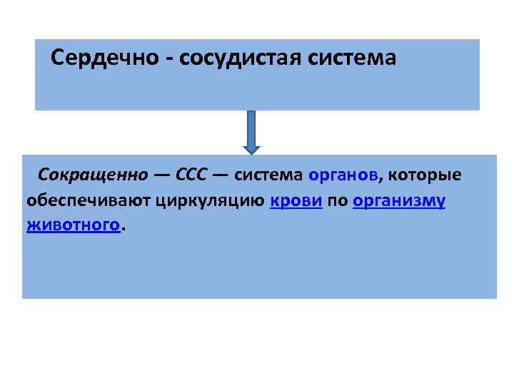 Сердечно - сосудистая система Сокращенно — ССС — система органов, которые Сердечно - сосудистая система Сокращенно — ССС — система органов, которые