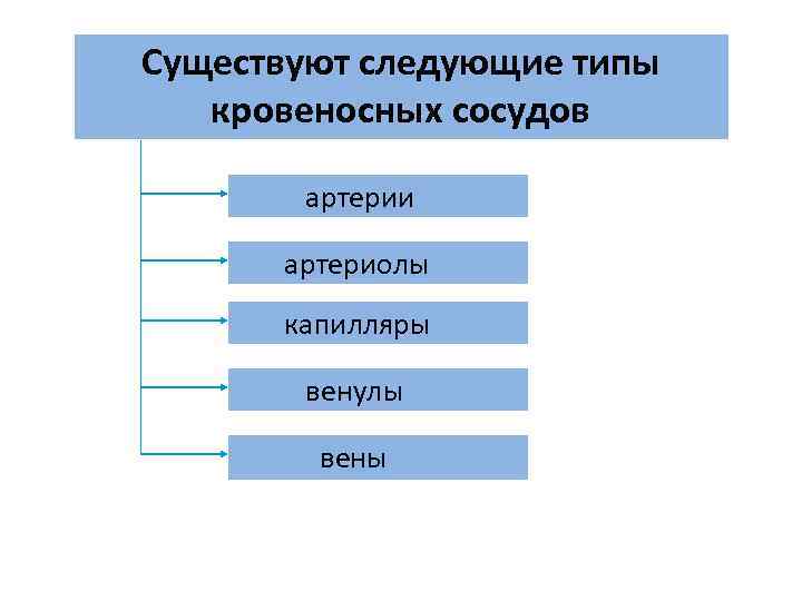 Существуют следующие типы кровеносных сосудов артерии артериолы капилляры Существуют следующие типы кровеносных сосудов артерии артериолы капилляры