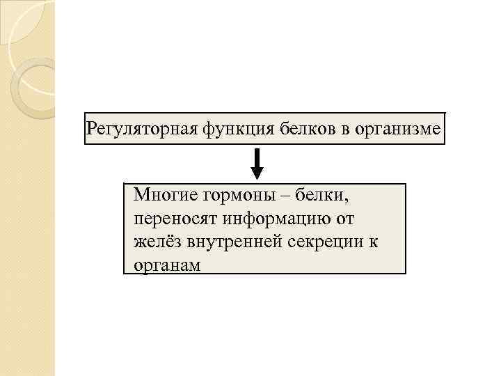 Регуляторная функция белков в организме   Многие гормоны – белки,  переносят информацию