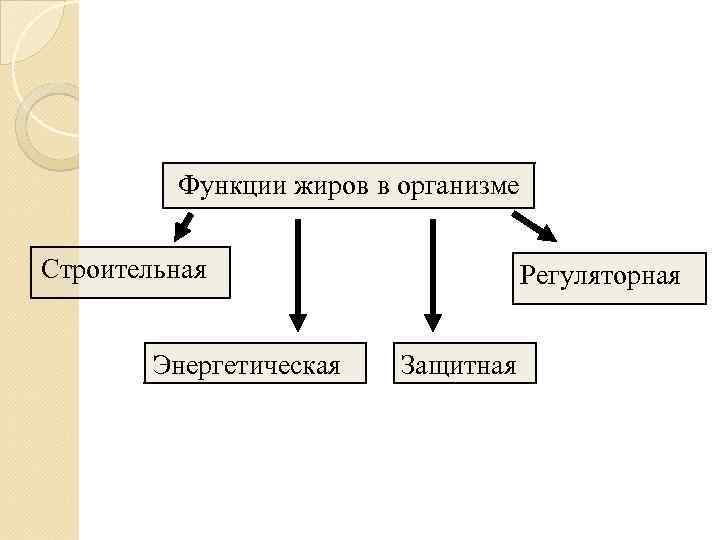    Функции жиров в организме  Строительная    Регуляторная 