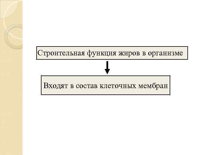 Строительная функция жиров в организме Входят в состав клеточных мембран 