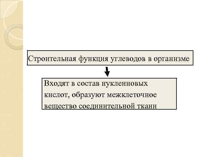 Строительная функция углеводов в организме  Входят в состав нуклеиновых кислот, образуют межклеточное вещество