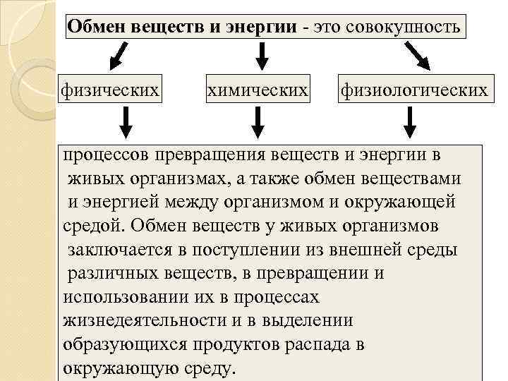 Обмен веществ и превращение энергии представляет собой