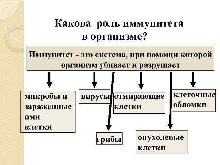  Какова роль иммунитета  в организме? Иммунитет - это система, при помощи которой