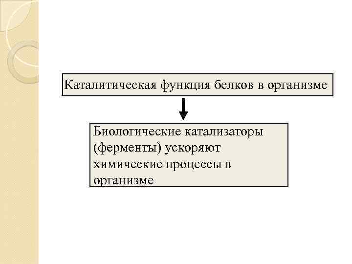 Каталитическая функция белков в организме  Биологические катализаторы (ферменты) ускоряют химические процессы в организме