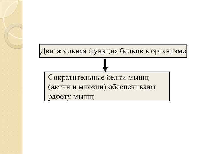 Двигательная функция белков в организме Сократительные белки мышц  (актин и миозин) обеспечивают 