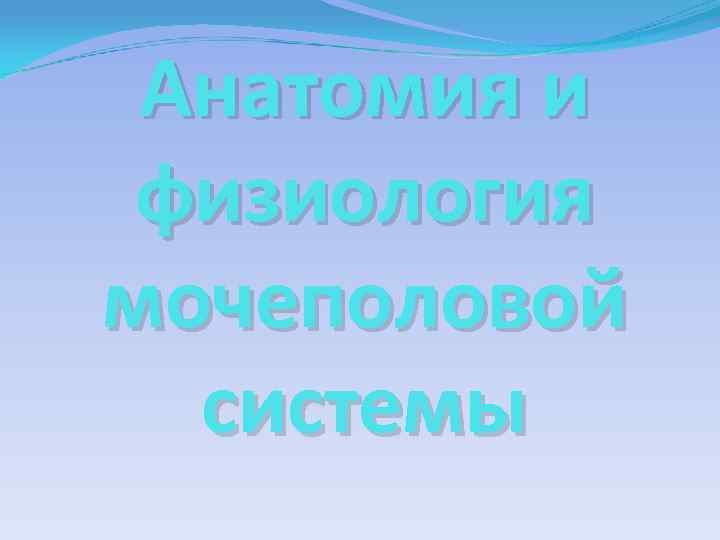 Анатомия и физиология мочеполовой  системы 