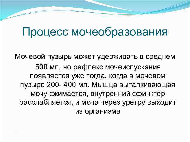 Процесс мочеобразования Мочевой пузырь может удерживать в среднем 500 мл, но рефлекс мочеиспускания