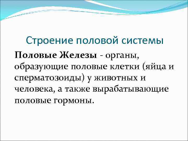  Строение половой системы Половые Железы - органы, образующие половые клетки (яйца и сперматозоиды)