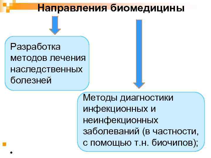 Биомедицина и биоинформатика презентация