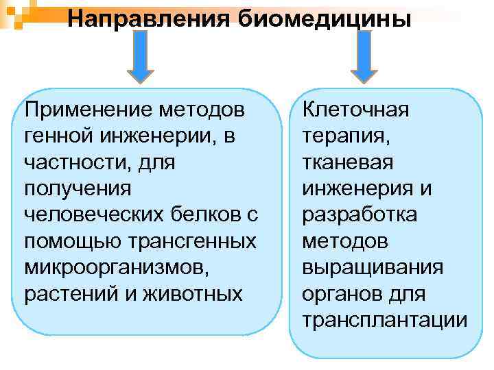   Направления биомедицины  Применение методов Клеточная генной инженерии, в терапия, частности, для