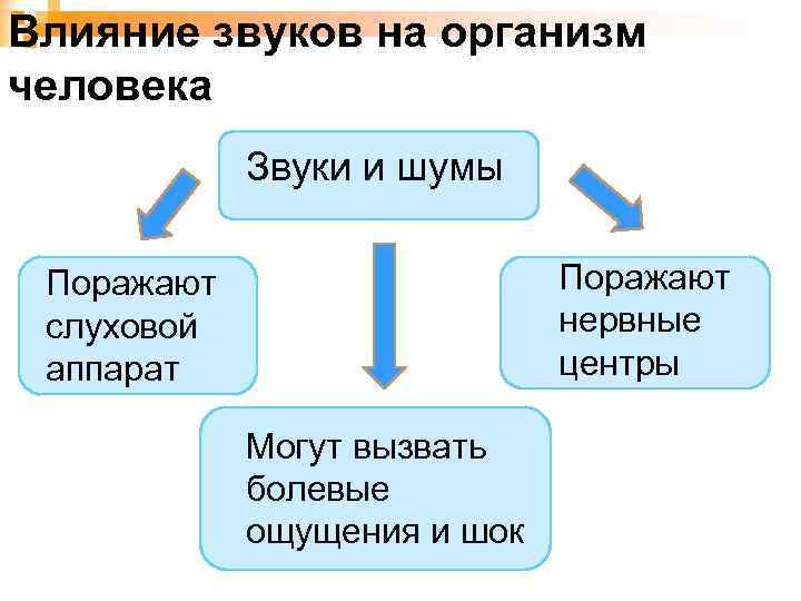 Влияние звуков на организм человека   Звуки и шумы  Поражают слуховой 