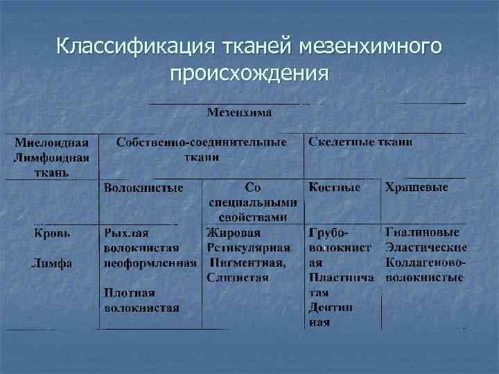 Функциональная классификация тканей. Классификация тканей мезенхимального происхождения. Классификация тканей производных мезенхимы. Ткани мезенхимного происхождения. Принципы классификации тканей.