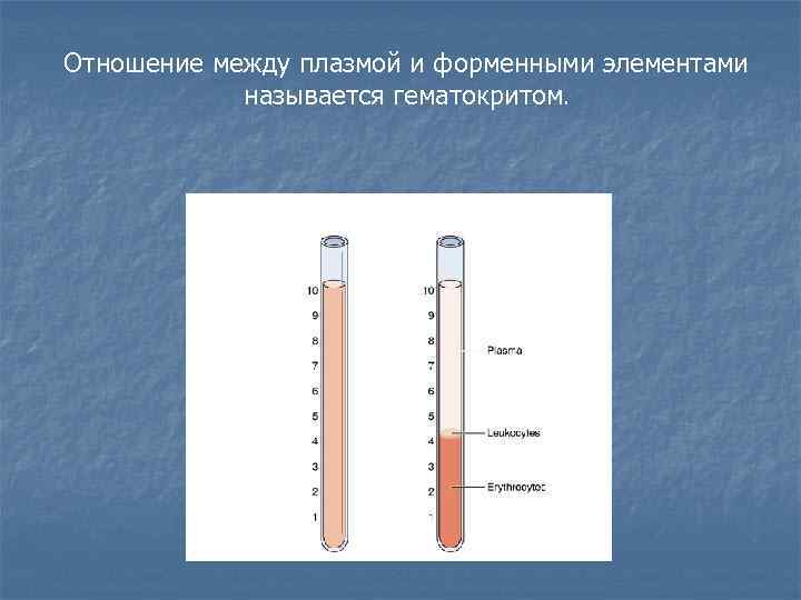 Отношение между плазмой и форменными элементами называется гематокритом. 