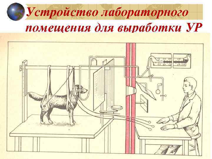 Устройство лабораторного помещения для выработки УР 