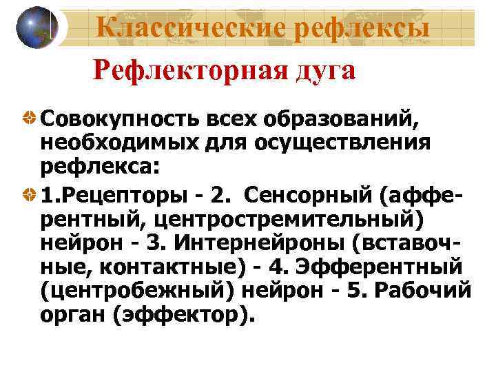   Классические рефлексы Рефлекторная дуга Совокупность всех образований, необходимых для осуществления рефлекса: 1.