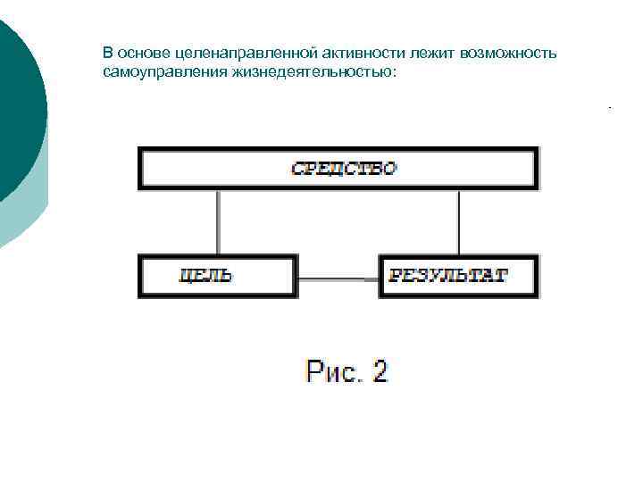 В основе целенаправленной активности лежит возможность самоуправления жизнедеятельностью: 