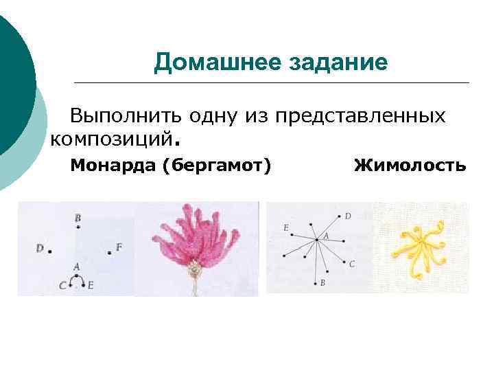    Домашнее задание  Выполнить одну из представленных композиций.  Монарда (бергамот)