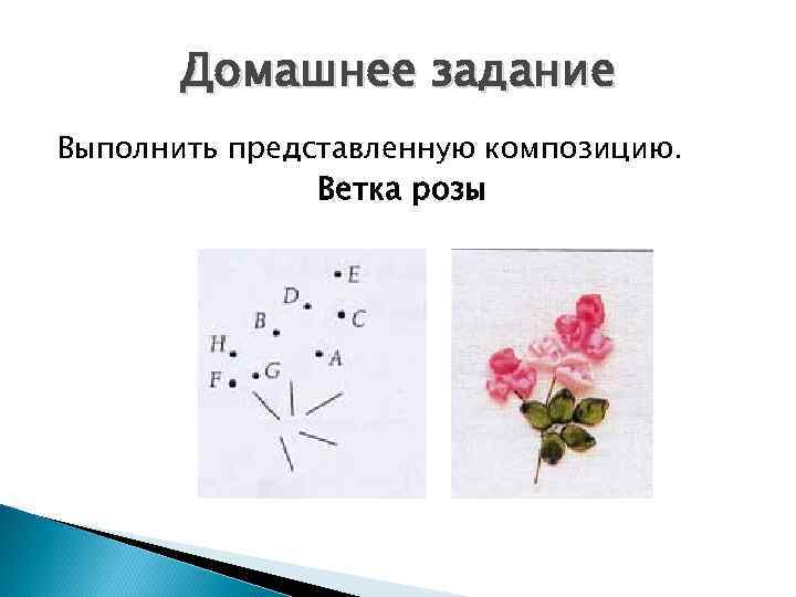   Домашнее задание Выполнить представленную композицию.   Ветка розы 