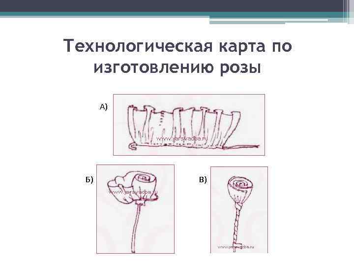 Технологическая карта растений