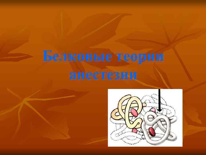 Белковые теории  анестезии 