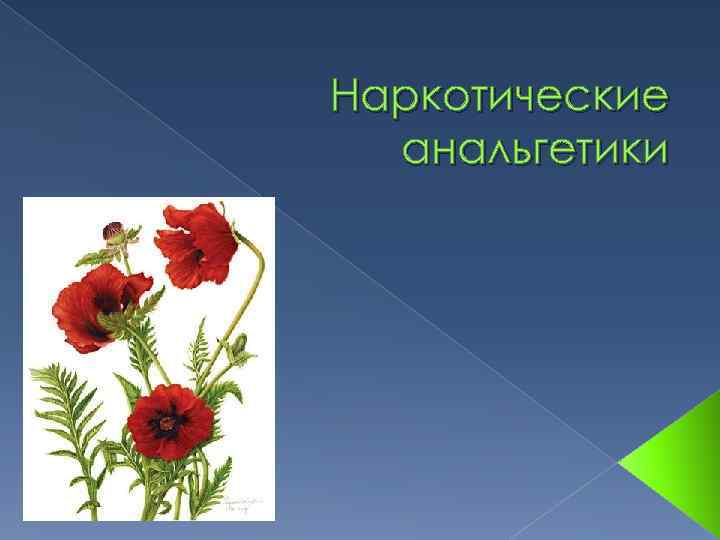 Наркотические  анальгетики 