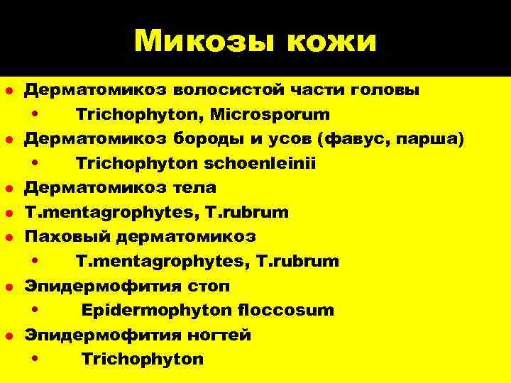    Микозы кожи l  Дерматомикоз волосистой части головы  • 