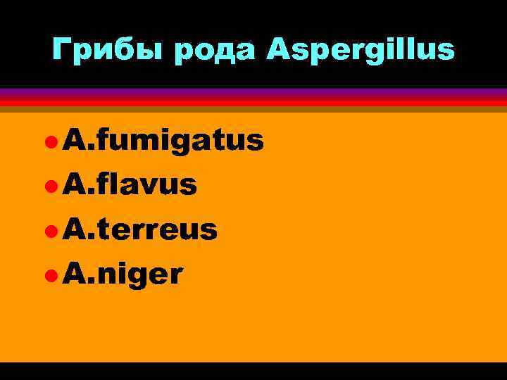 Грибы рода Aspergillus l A. fumigatus l A. flavus l A. terreus l A.