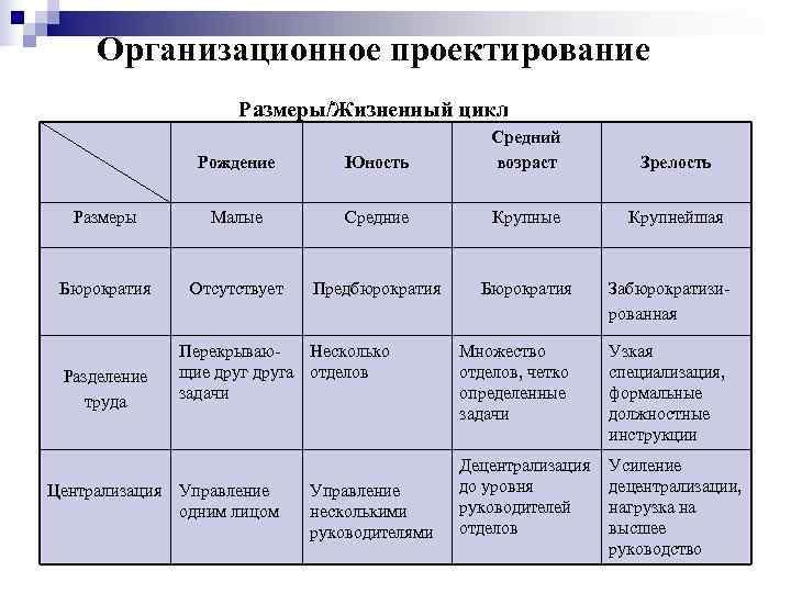  Организационное проектирование    Размеры/Жизненный цикл     Средний 