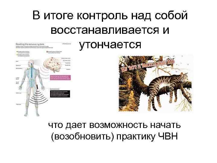 В итоге контроль над собой  восстанавливается и   утончается  что дает
