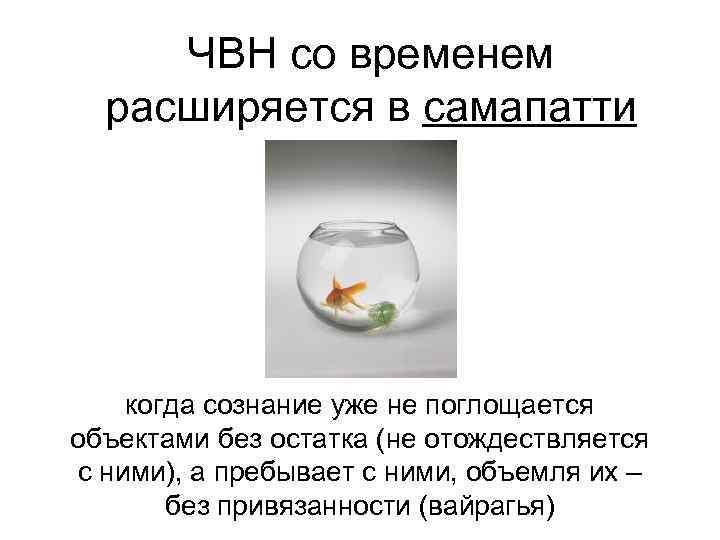  ЧВН со временем  расширяется в самапатти   когда сознание уже не